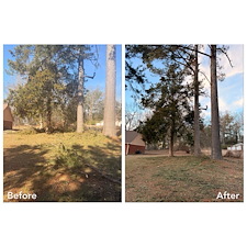 Safe-Again-Storm-Debris-Cleanup-In-Oxford-MS 1